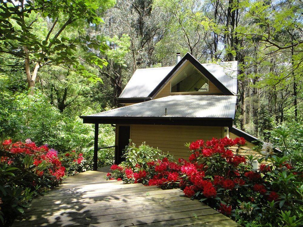 Lochiel Luxury Accommodation Olinda Exteriér fotografie