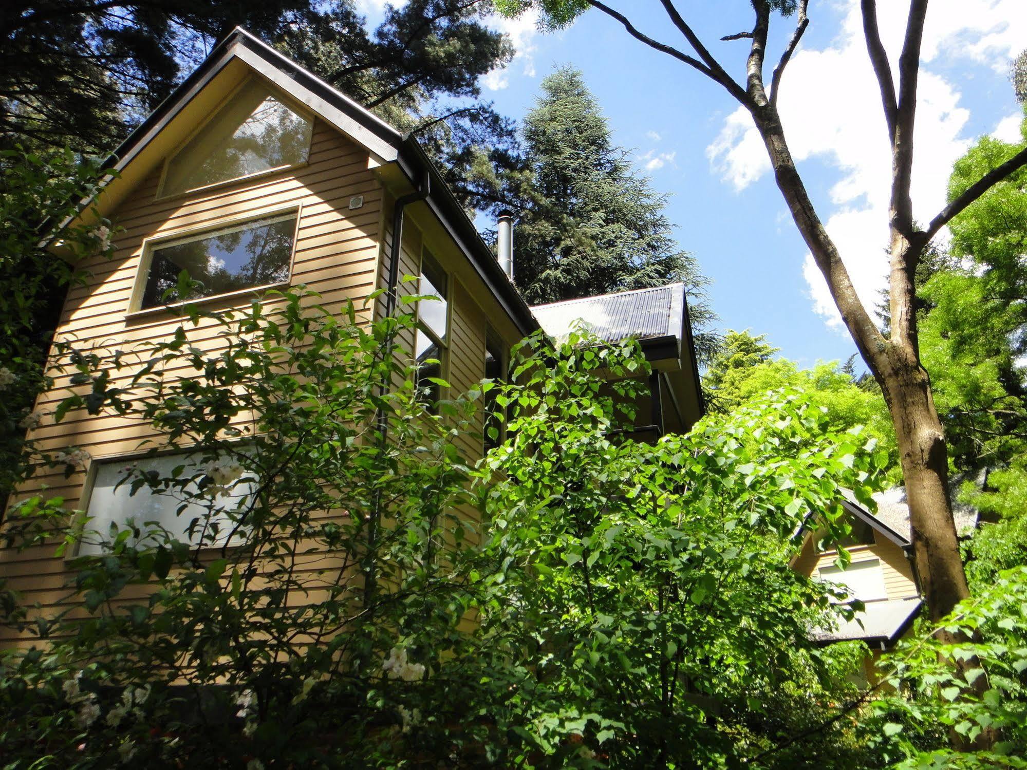 Lochiel Luxury Accommodation Olinda Exteriér fotografie